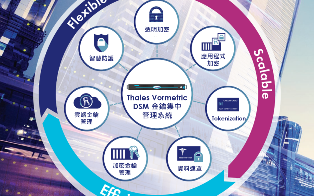 Thales Vormetric 資料保護解決方案