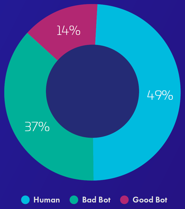 GLOBAL INTERNET TRAFFIC PROFILE IN 2024