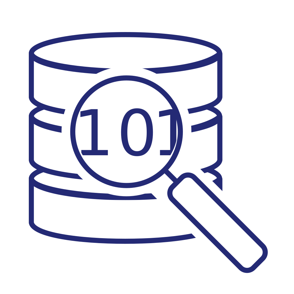 Key-data-security-icon
